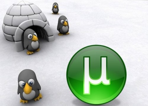 µTorrent Server - BitTorrent-клиент µTorrent Server - BitTorrent-клиент