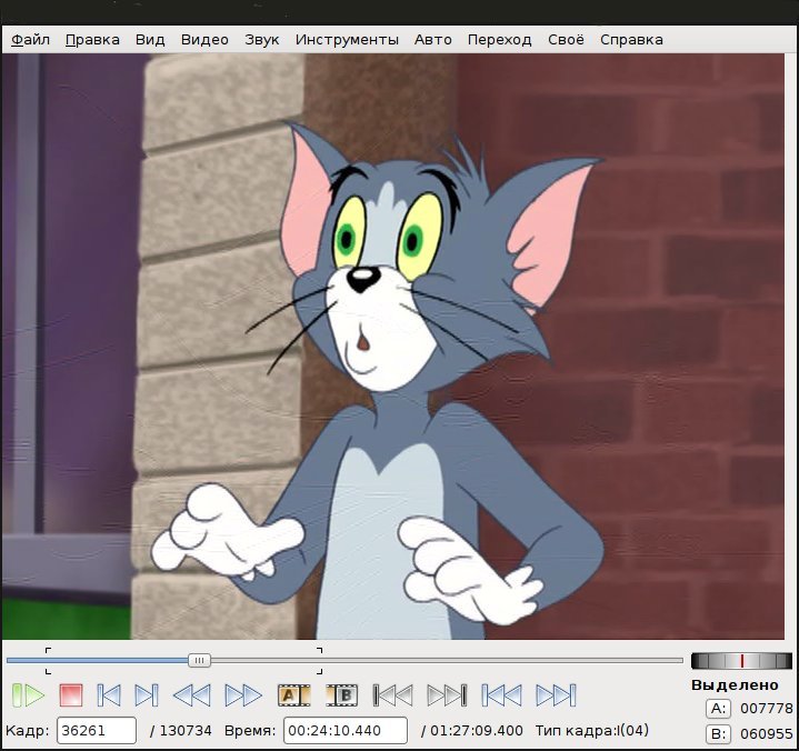 avidemux_029.jpeg
