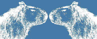 capivara_001.png
