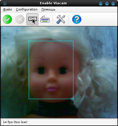 eviacam 019