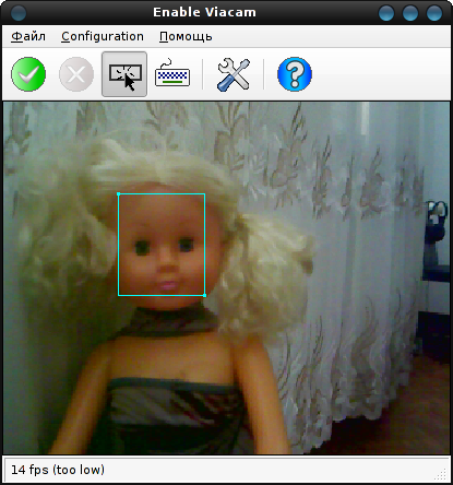 eviacam 021