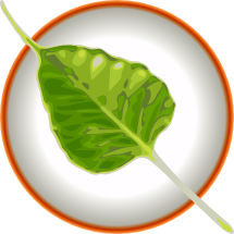 bodhilinux 010