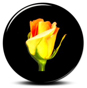 rosegarden_001.png