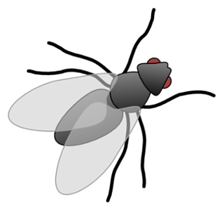 theplan_001.png