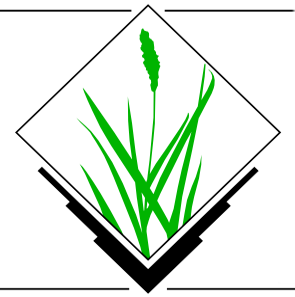 grass_001.png