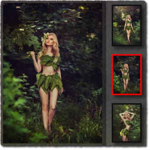 fgallery-001.png