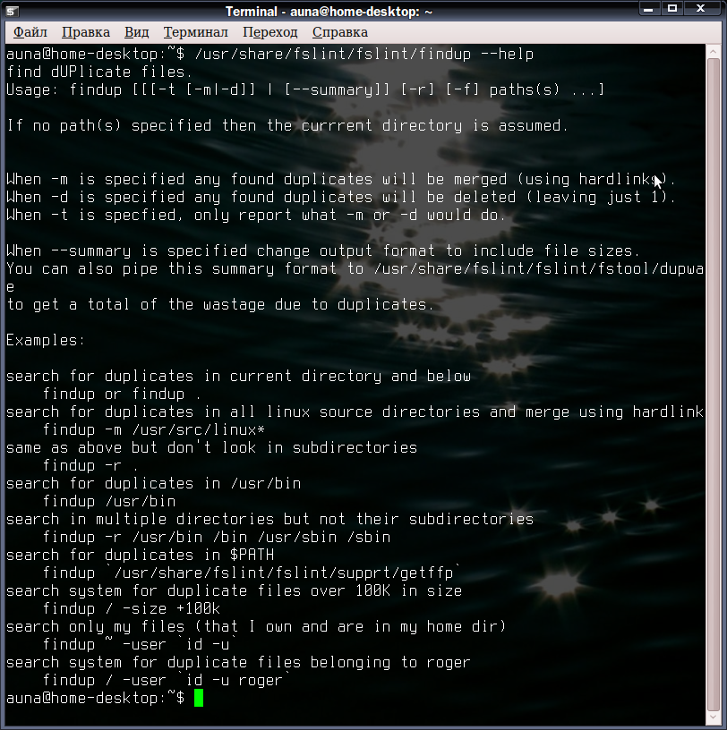 fslintgui 002