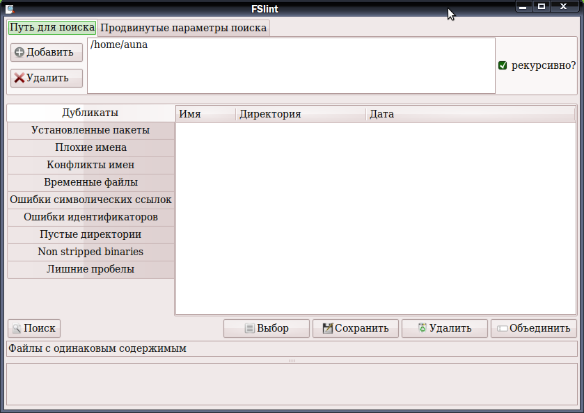 fslintgui 003
