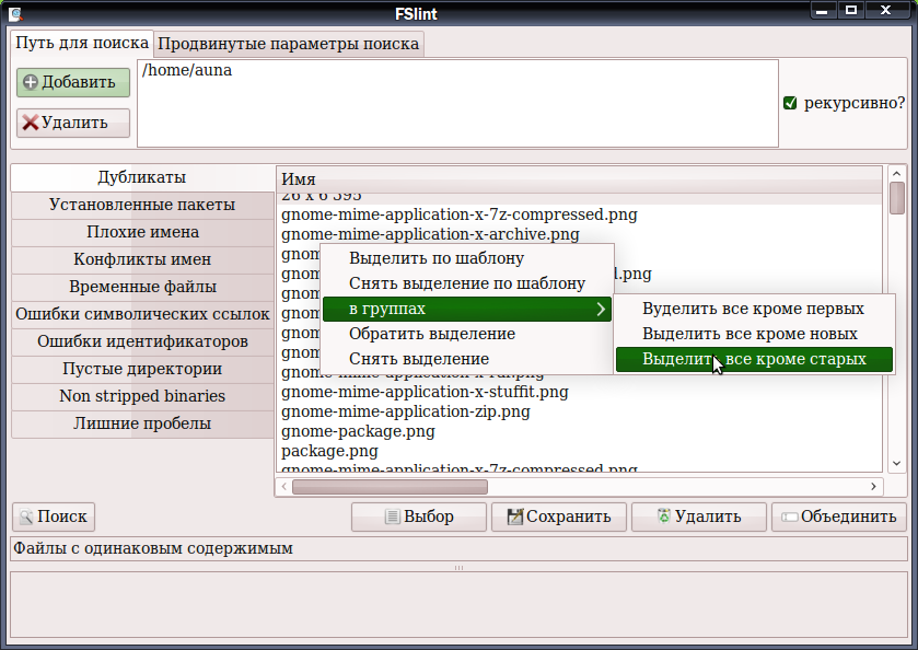 fslintgui 005