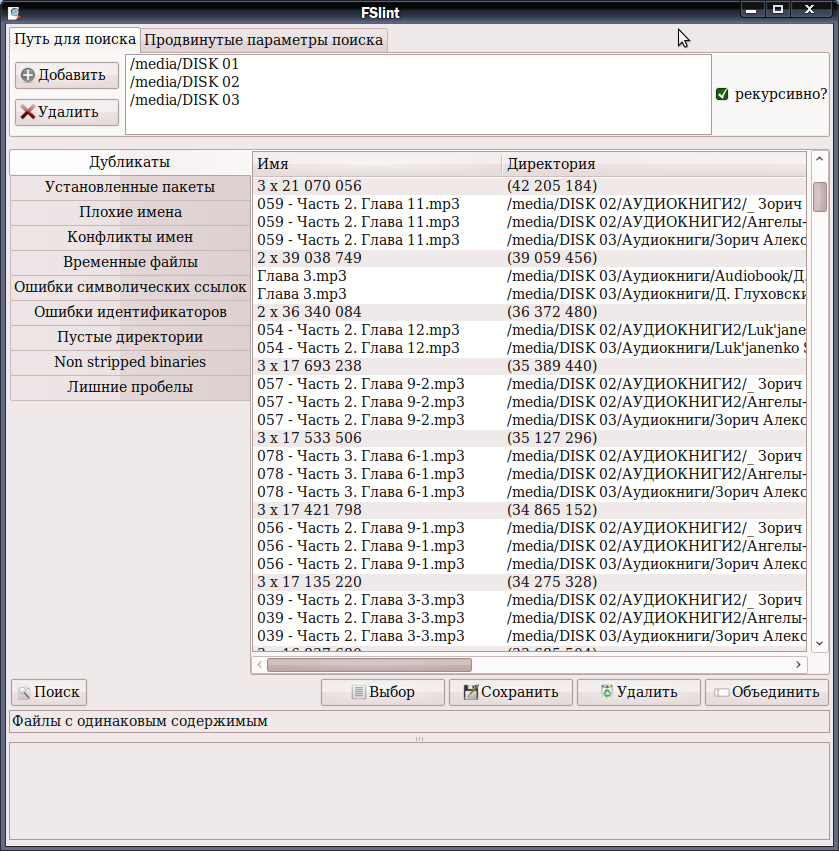 fslintgui 008