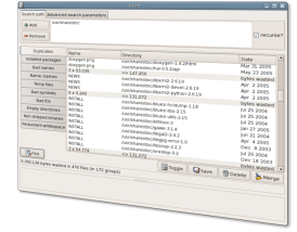 fslintgui 012
