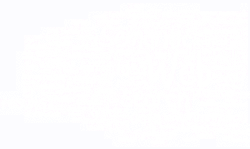 text 020