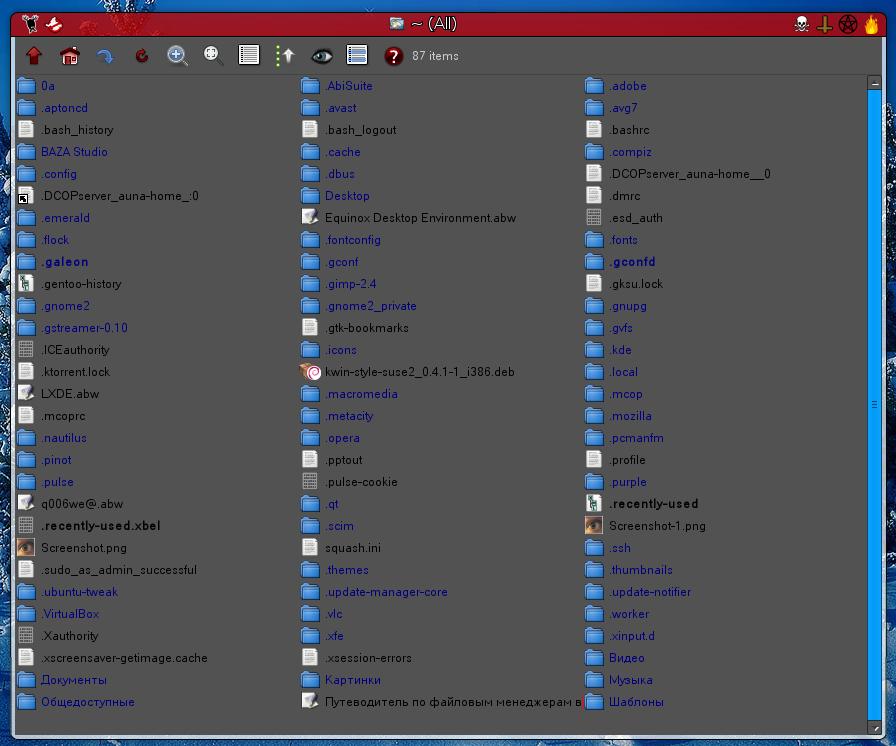 roxfiler 003