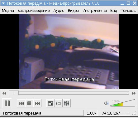 vlc 06