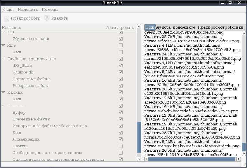 bleachbit 009