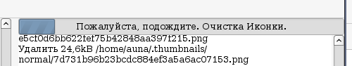 bleachbit 012