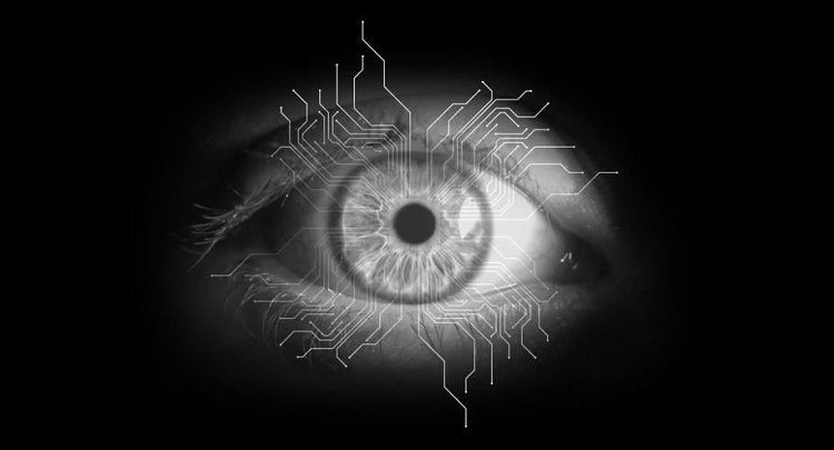 electricsheep_0011.jpg