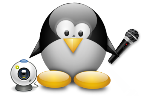 guvcview_007.png