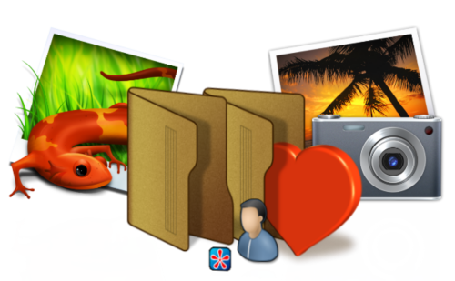 jbrout_020.png