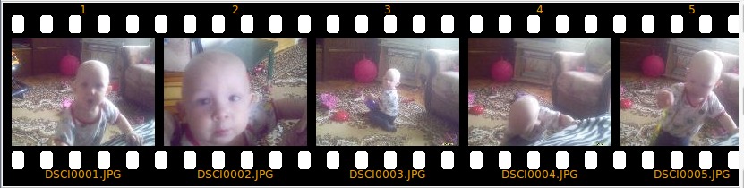 photofilmstrip_004.jpg