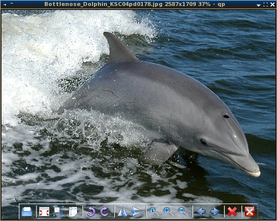 qviewer_003.jpg