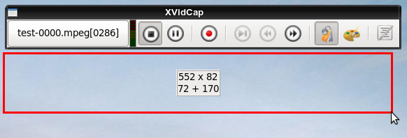 xvidcap 010