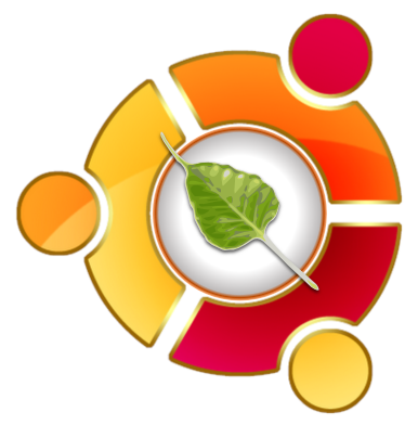 bodhilinux 063