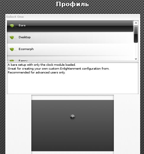 Bodhi Linux