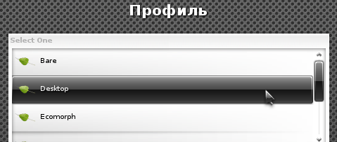 Bodhi Linux