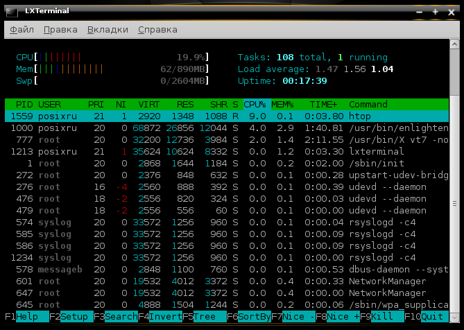 Bodhi Linux