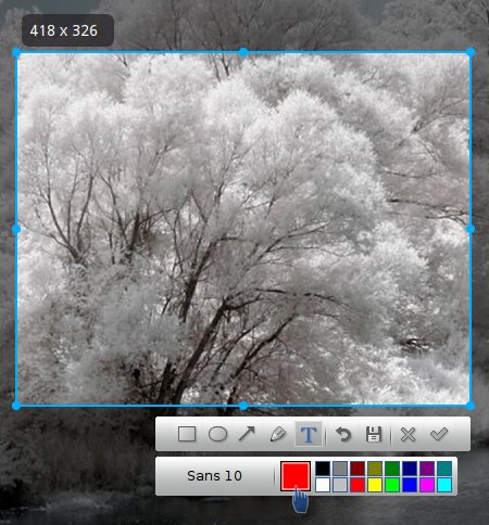 deepin scrot 002