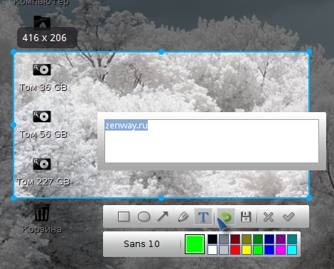 deepin scrot 004