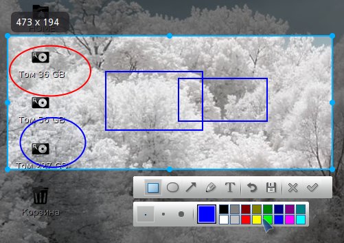 deepin scrot 005