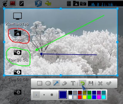 deepin scrot 006