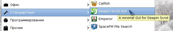 deepin scrot 007
