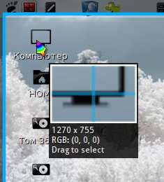 deepin scrot 011