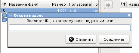 gftp 010