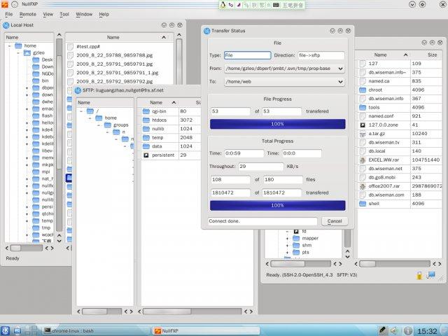 nullfxp 014