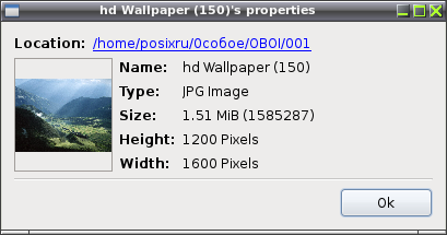 qiviewer 010