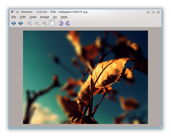 qiviewer 011