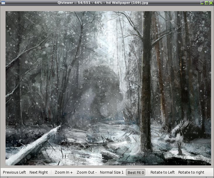 qiviewer 013