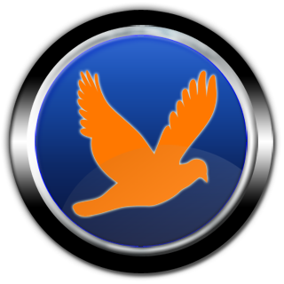 roxbird_023.png