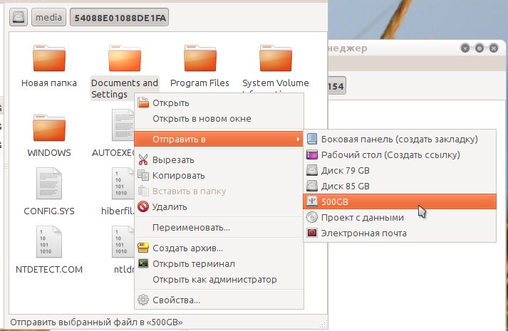runtuxfce 005