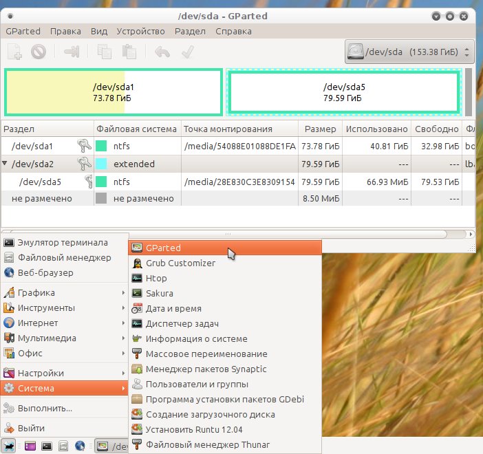 runtuxfce 006