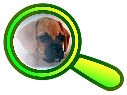 tracker_001.png