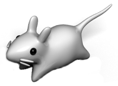 mxfce4_001.png