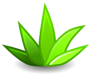 agave_001.png