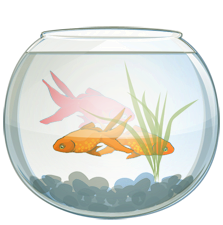 asciiquarium_001.png