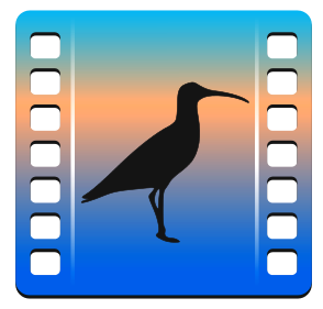 curlew_001.png