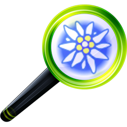 findex_001.png